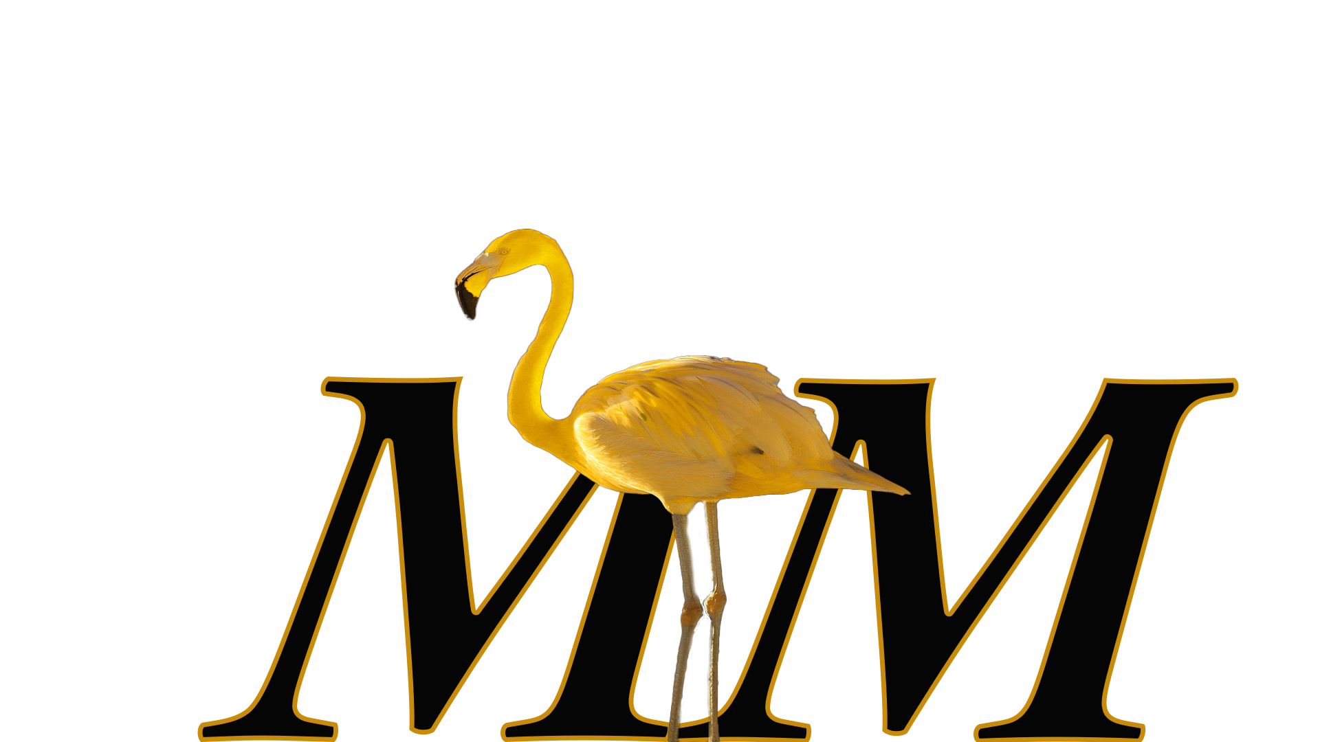 Michael Gray MM flamingo logo
